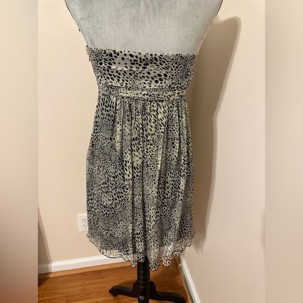 Express Dress - Picture 2 of 7